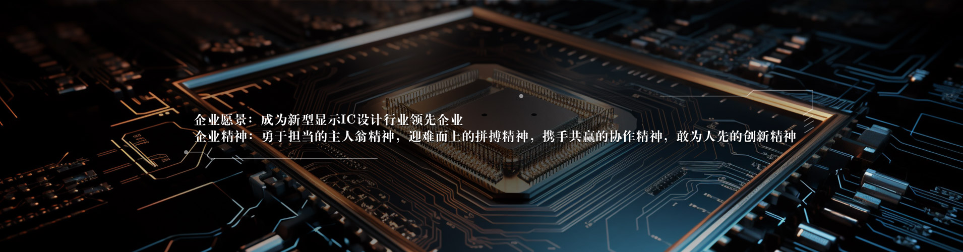 上海玖鼎微电子股份有限公司